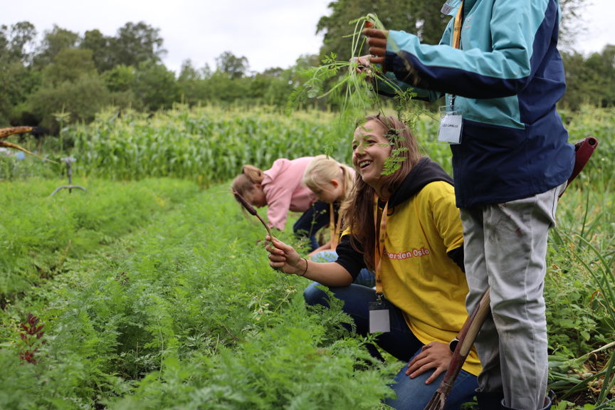 Noen få personr som jobber i et felt