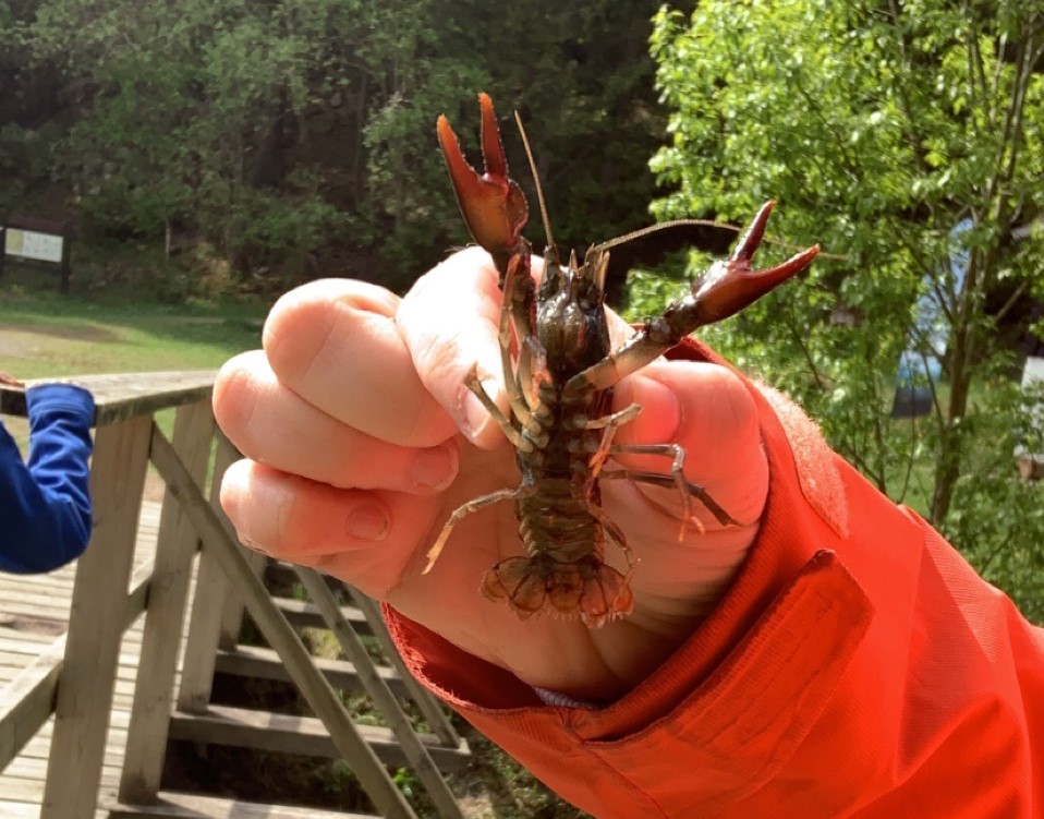 Fiskelykke for elevene på 3. trinn