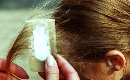 lusesjekk med kam lusesjekk med kam